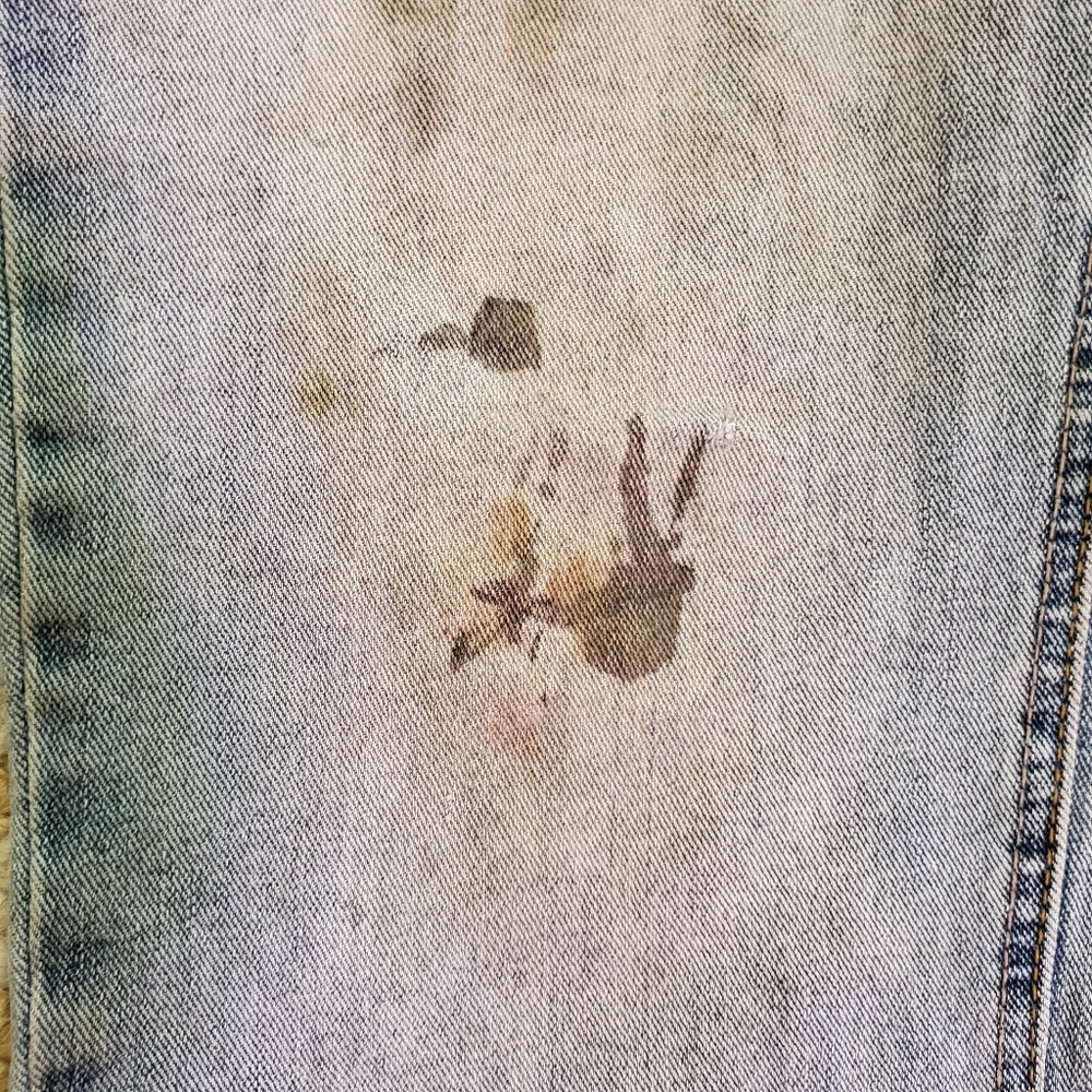 Signature Levi Strauss Jeans - (32x32) - Picture 15 of 15